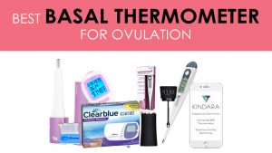 How do you use basal thermometer for ovulation?